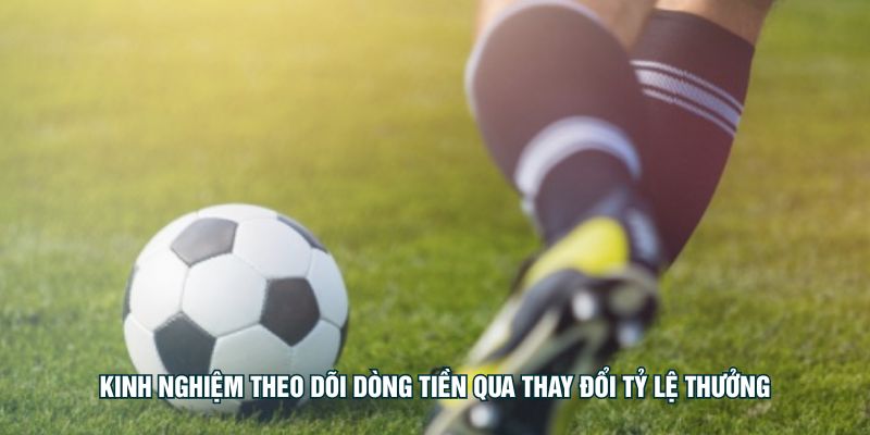 Kinh nghiệm theo dõi dòng tiền qua thay đổi tỷ lệ thưởng