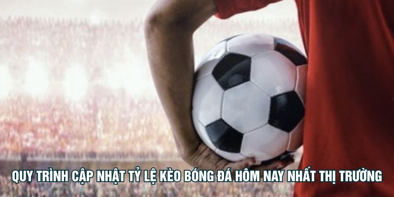Quy trình cập nhật tỷ lệ kèo bóng đá hôm nay nhất thị trường